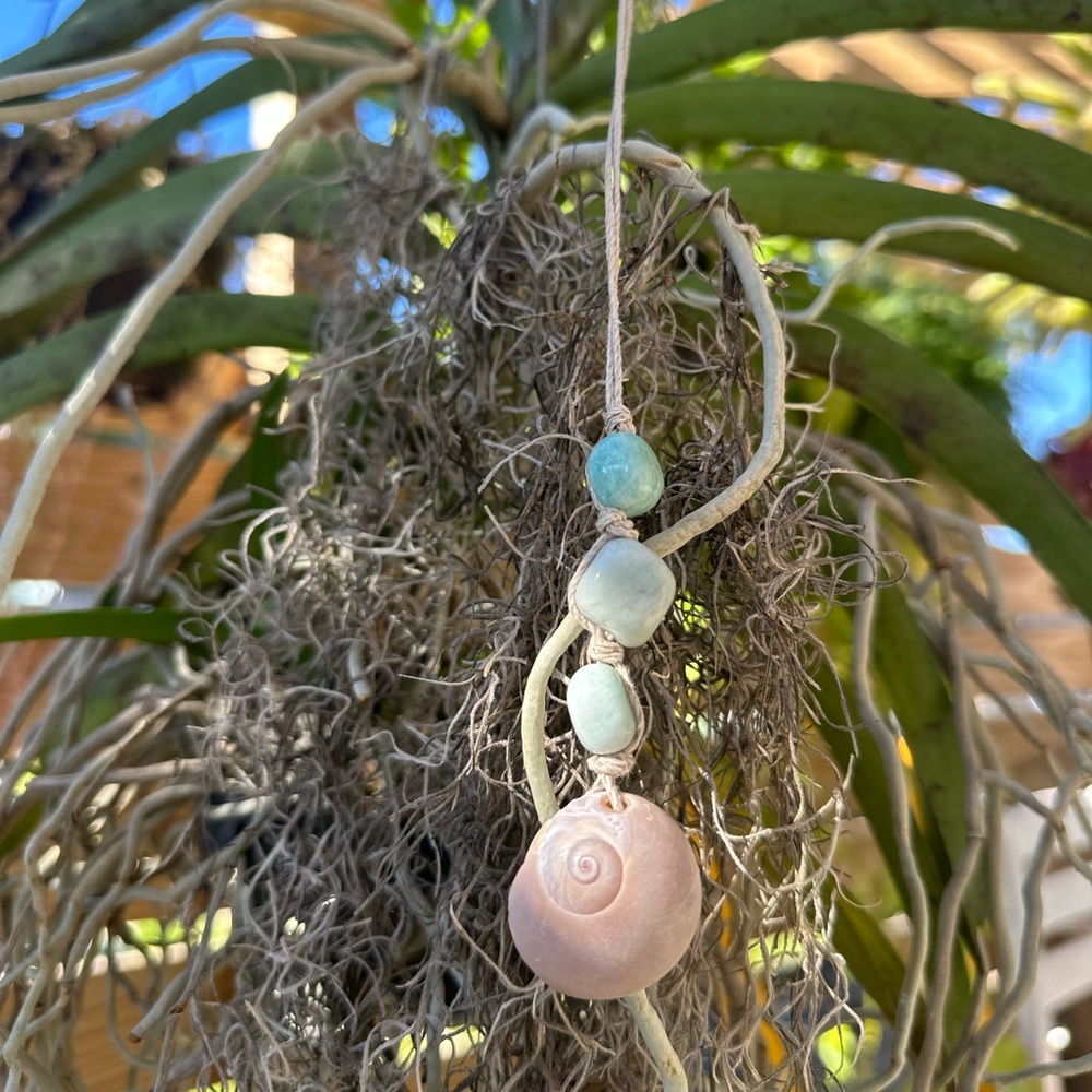 Shark Eye Shell And Amazonite - image 1